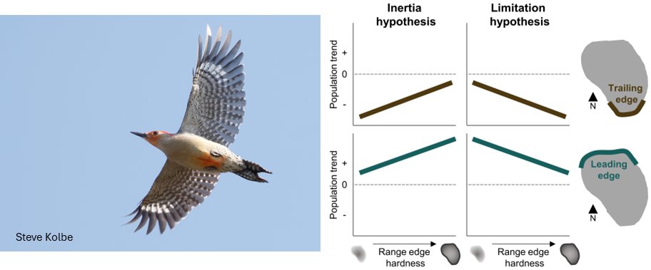Neil Gilbert (@n_a_gilbert) on Twitter photo New paper out today in <a href="/AnimalEcology/">Journal of Animal Ecology</a> 😍
Can internal range structure predict range shifts?
we find limited support with a bird dataset from Minnesota (where many species are at range limits), but I'm keen to dig in more!
doi.org/10.1111/1365-2… New paper out today in <a href="/AnimalEcology/">Journal of Animal Ecology</a> 😍
Can internal range structure predict range shifts?
we find limited support with a bird dataset from Minnesota (where many species are at range limits), but I'm keen to dig in more!
doi.org/10.1111/1365-2…