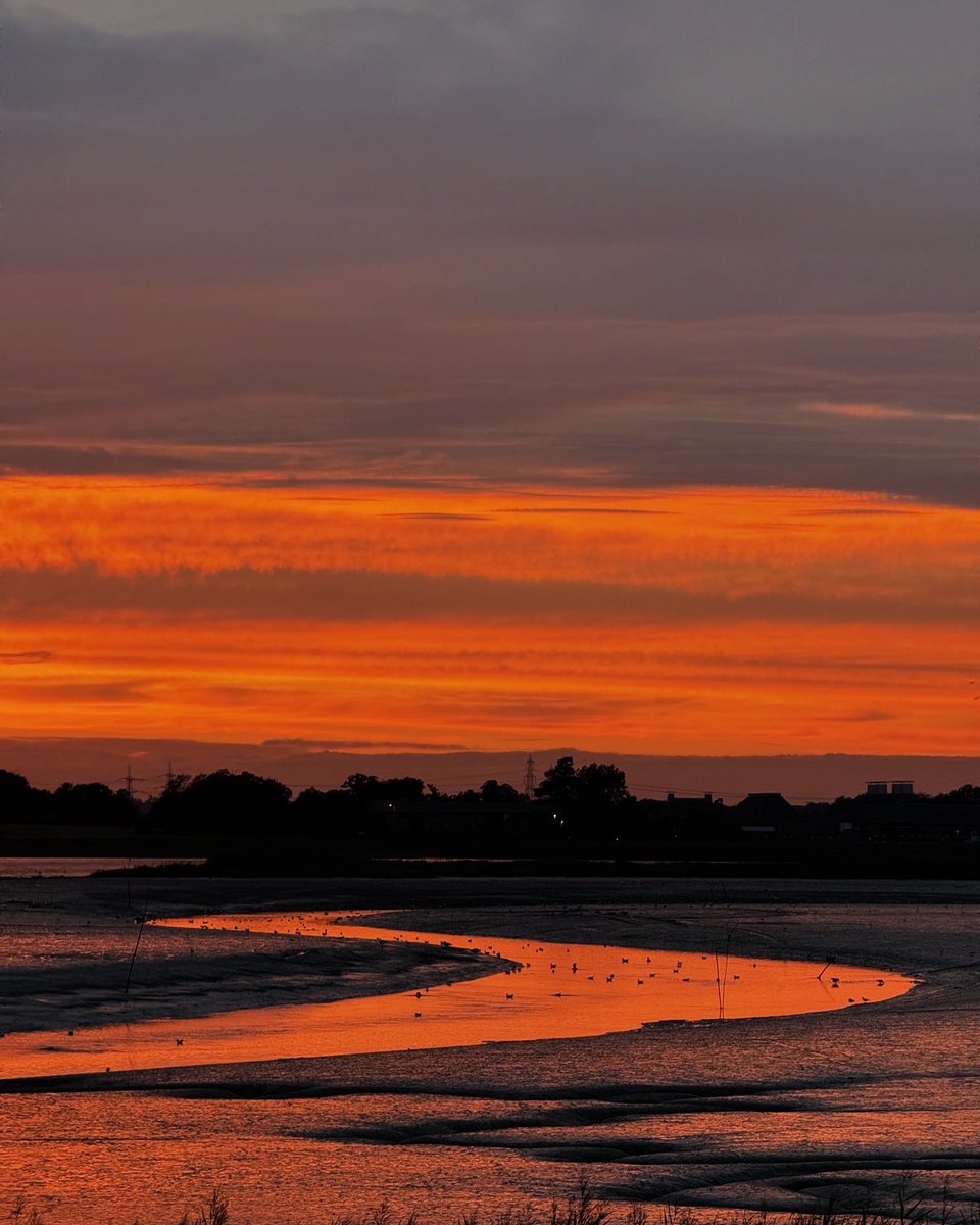 Tony Pick Photo tweet media