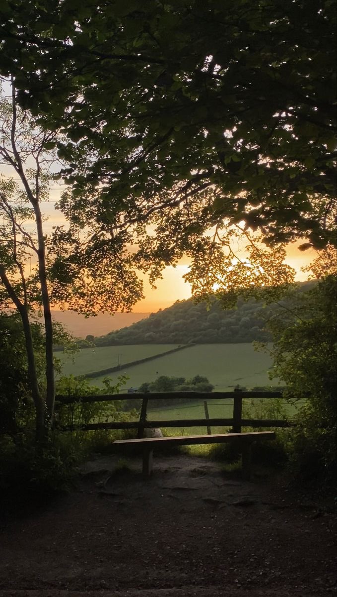 oliviarodrigoft's tweet image. siamo un po’ in ritardo ma vabbè

#lavoltabuonadisef