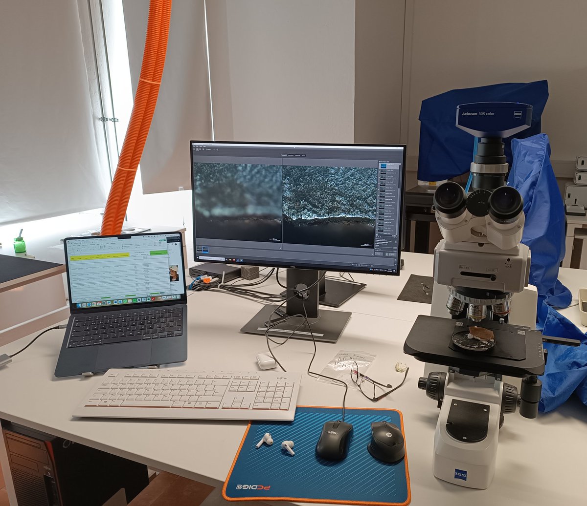 Bizmoune under the Microscope 🔬: We are running  the first use-wear analysis on the MSA lithics from Bizmoune cave. The first results are very promising !