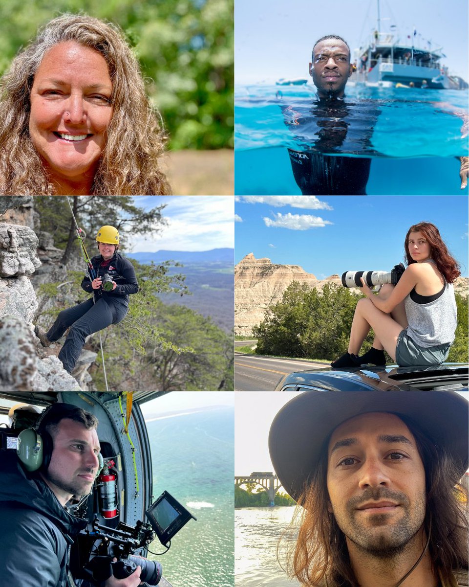 Jackson Wild tweet media