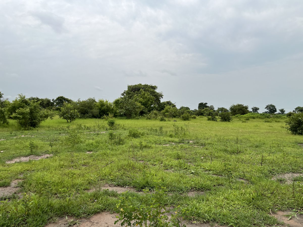 LoretoRumbek's tweet photo. Great news. Loreto Rumbek is extending its Mission to Aweil. https://t.co/KiBlGJ5MSr