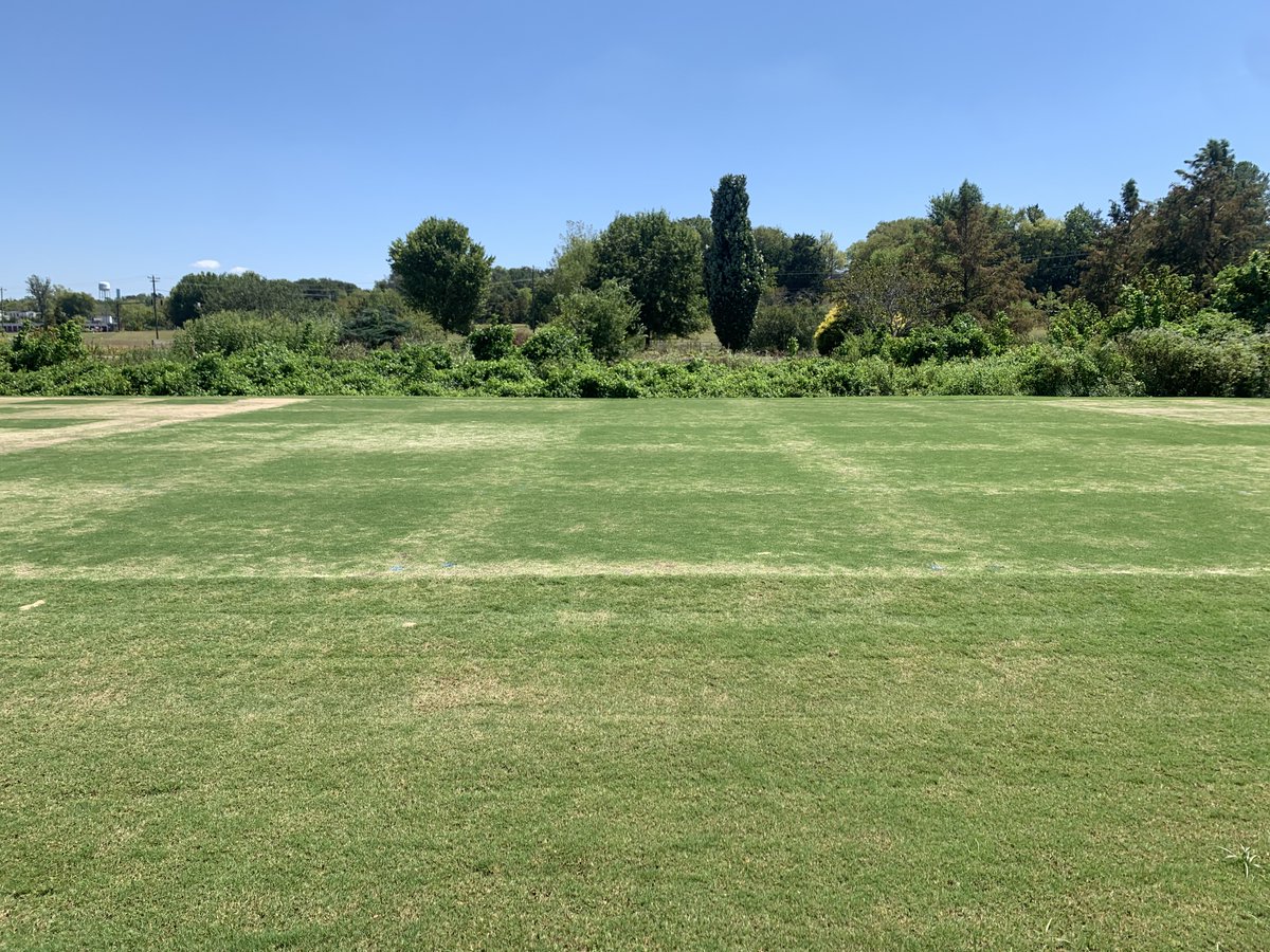 Drturfdirt (@drturfdirt) on Twitter photo Tifeagle bermudagrass sprigged 7/16. No rain for previous 28 days prior to Saturdays nearly inch of rain. Come see it at MSU Turfgrass Research Field Day. Looks like we have treatment effects. pss.msstate.edu/workshops/turf… <a href="/MSTurfgrass/">James D. McCurdy</a> <a href="/MSU_AG/">MSU CALS/MAFES</a> @Mirimichigreen Tifeagle bermudagrass sprigged 7/16. No rain for previous 28 days prior to Saturdays nearly inch of rain. Come see it at MSU Turfgrass Research Field Day. Looks like we have treatment effects. pss.msstate.edu/workshops/turf… <a href="/MSTurfgrass/">James D. McCurdy</a> <a href="/MSU_AG/">MSU CALS/MAFES</a> @Mirimichigreen