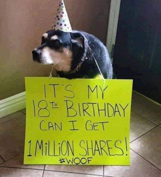 thehappydog_'s tweet image. Today is my birthday but nobody wished me yet 🥺