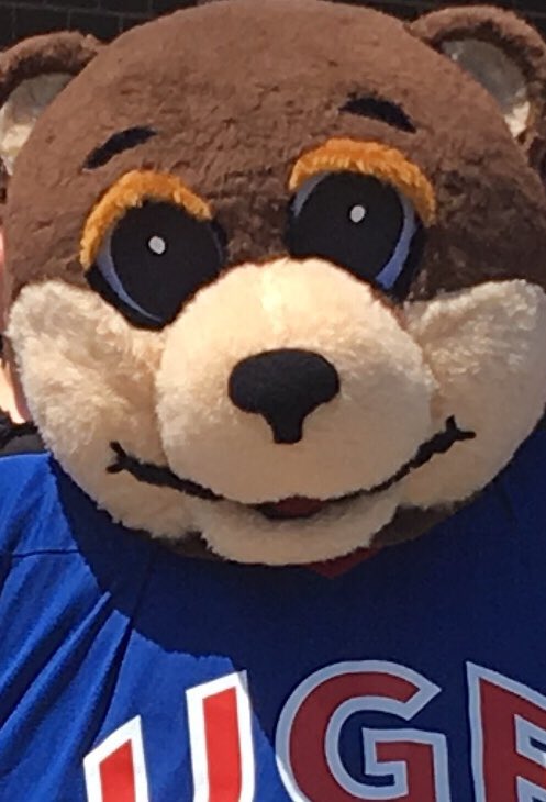💙UGE family❤️,
2 more sleeps!  I missed you all so much over the summer, and can’t wait for another grrreat year of learning and fun together. Staff are super ready and very excited; we hope that you are too!  I’m so thrilled!  Love, Gulliver❣️🐻🐾 <a href="/NLSchoolsCA/">NLSchools</a>