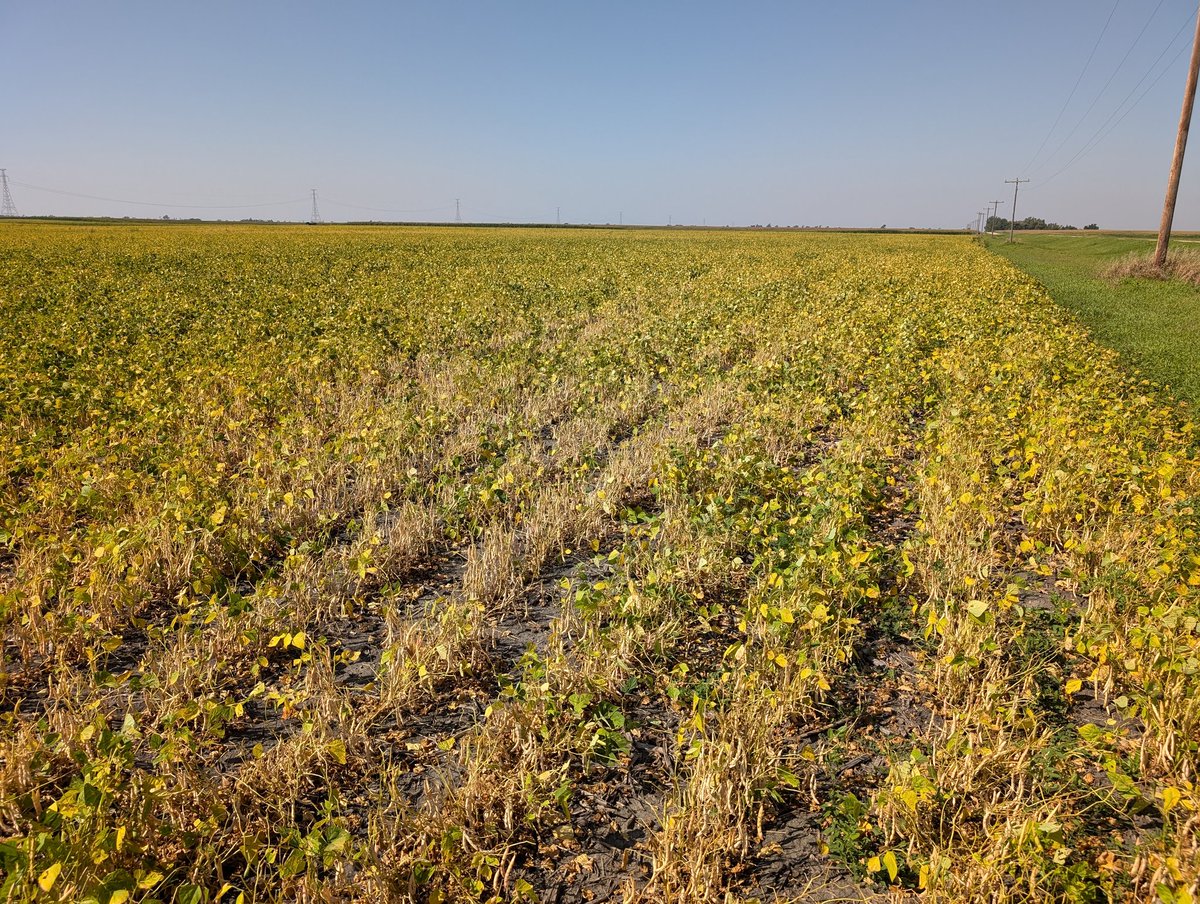 Just south of Elliot ND