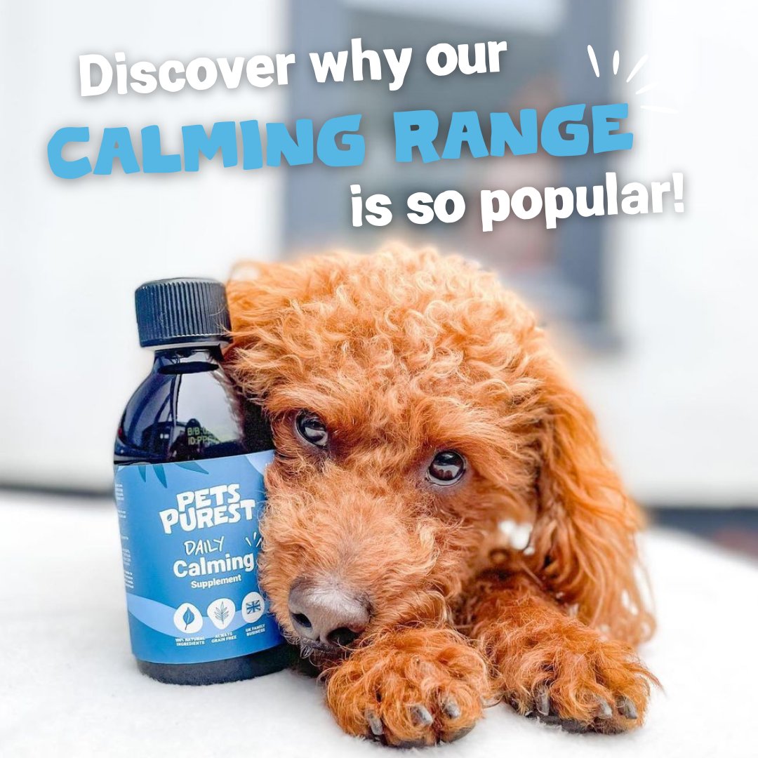 Pets Purest tweet media
