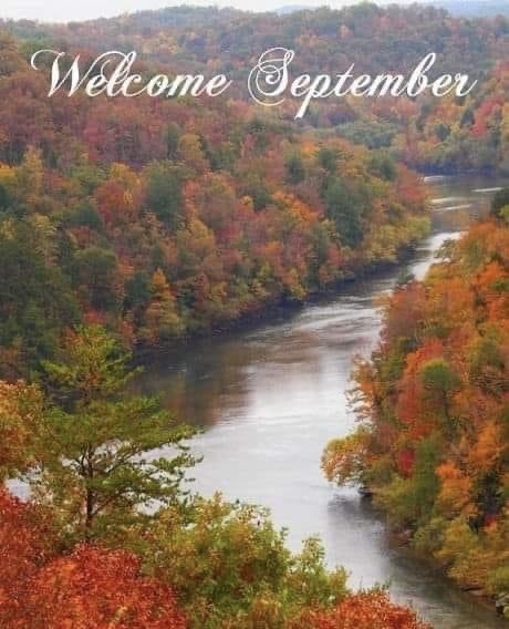 Nina Romano tweet media