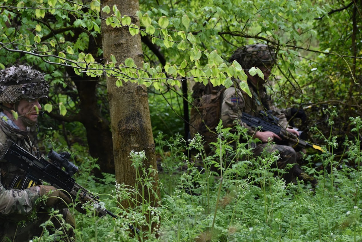 GuardsReserve's tweet photo. Operations in woods & forested areas are challenging. Teamwork, communication and rehearsals are key to successful operations. The London Guards conduct training serials to hone their skills.
https://t.co/Ln8LZ2YtQm
#armyinlondon #thelondonguards #armyreserve https://t.co/K9R8YWLuqQ