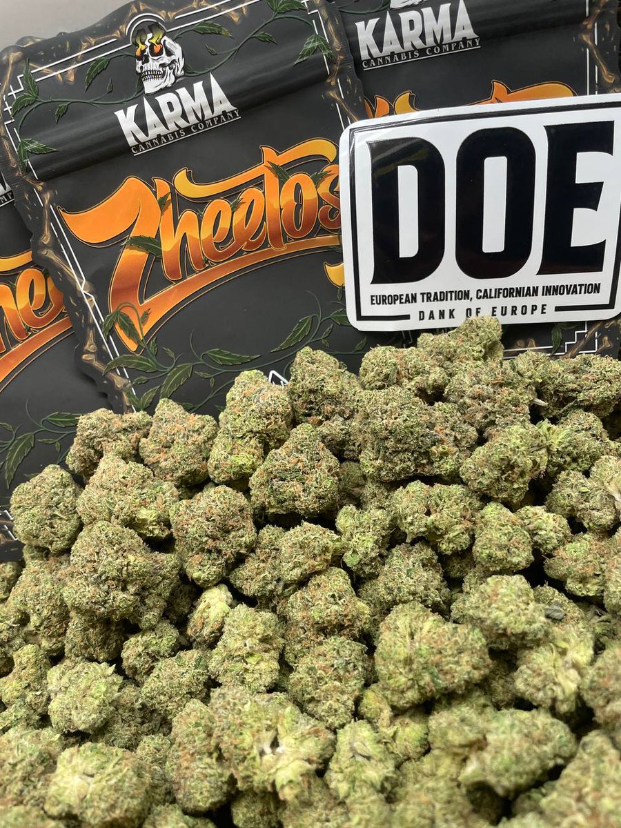 dankofeurope's tweet photo. BRAND NEW ZHEETOS, CULTIVATED BY THE KARMA CARTEL ๐ฏ FRESH BATCHโฆ THIS CROSS IS NOT TO BE PLAYED WITH ๐ค
OZK x BIG BUDDHA CHEESE ๐ x ๐ง
#bluezushi #ghw #calihash #califlower #goldenheadwarriors #spain #barcelona #zheetos https://t.co/QwgJSktlnB