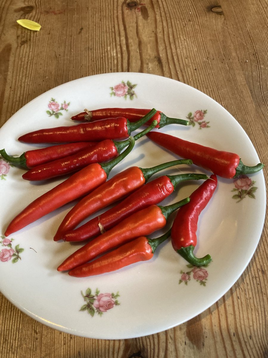 Ally Fogg tweet media