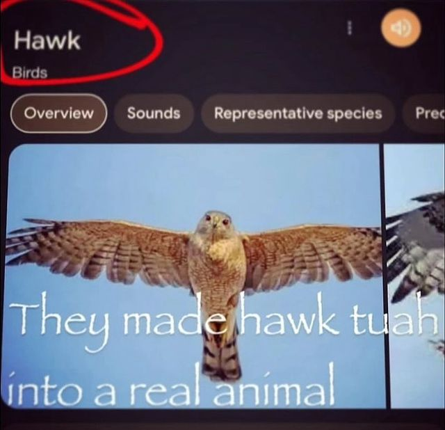 Watch trax ✭'s leaked NSFW photo on TwXstars