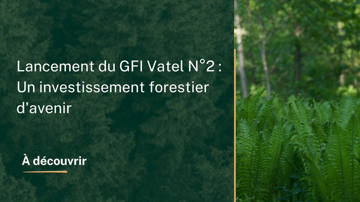 MeilleurGF's tweet photo. 🌲 Nouveau GFI lancée par Vatel Capital : le GFI Vatel N°2. Investissez dans la forêt et bénéficiez d'avantages fiscaux tout en contribuant à la transition écologique. #Investissement #Forêt #Durabilité 

https://t.co/gVQfEsOHp9 https://t.co/54O7q5H0va