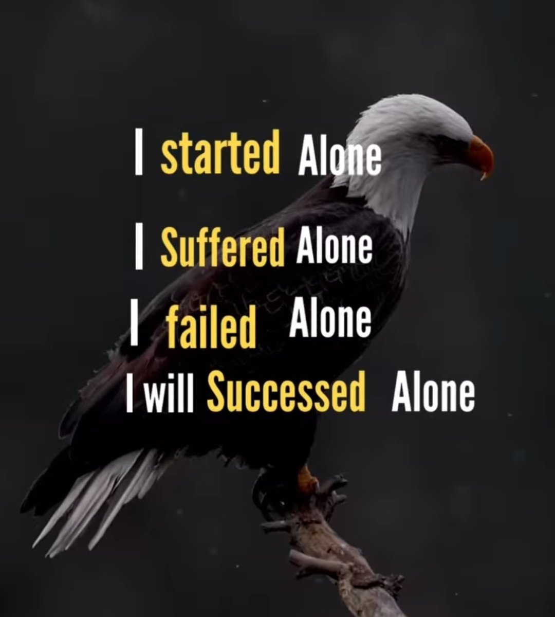 Mind Essentials (@mind_essentials) on Twitter photo 