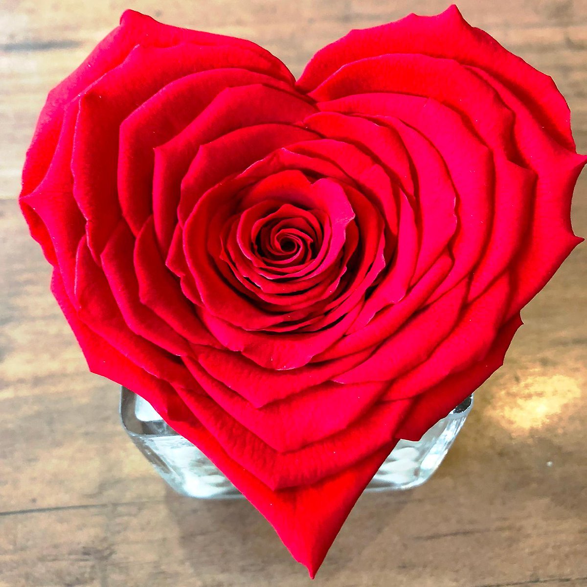 Thank you all for attending the Athens Foreign Languages Forum at the Royal Olympic Hotel. A heartfelt thank you to our speakers, workshop conductors, panellists, moderators, to Greek and International Publishers and to Educational Services providers.