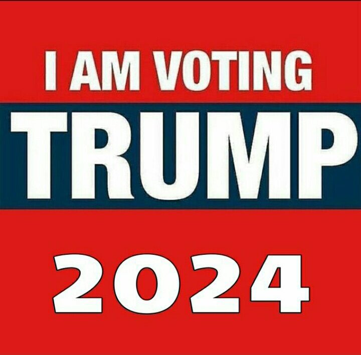 freedom913's tweet photo. @realDonaldTrump I am voting trump, are you 🙋‍♂️🇺🇸 https://t.co/6PhgzI8661