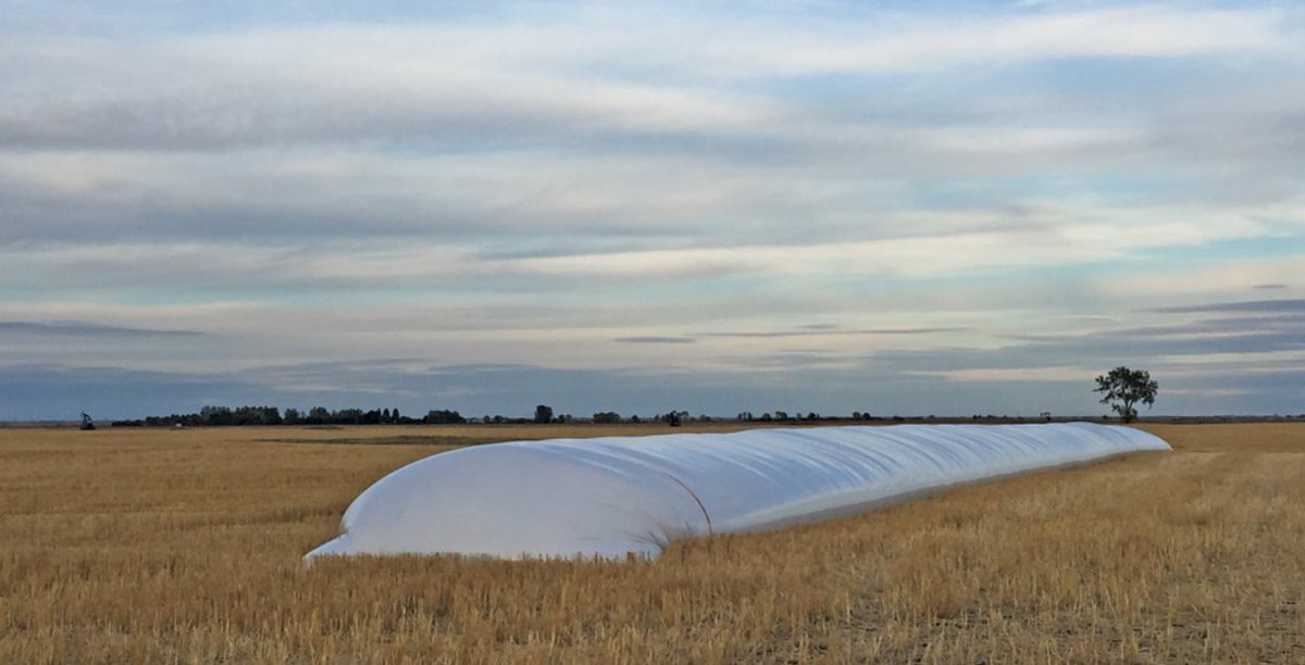 12 Neeralta 10x300, 9mil Grain bags for sale!    Recycling fee is paid, $1150 per bag paid. Will sell for $1100/bag.  2 pallets of 6 bags each. Hauled more grain off combine than anticipated so bags for sale!     $1100/bag
Retweets appreciated Thank you!