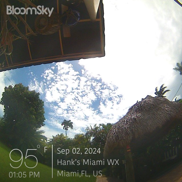 Hot, muggy, rain on the way.