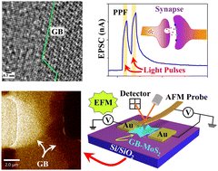 Bikas C. Das (@bikascdas) on Twitter photo This shows #grain boundaries in #monolayer #MoS2, highlighting their impact on #photonic #memristor functions. The device is slow but enables #adaptive learning and #synaptic behaviours. - now published in J. Mat. Chem. C pubs.rsc.org/en/content/art…
<a href="/serbonline/">SERB</a> <a href="/tvmiiser/">IISER Thiruvananthapuram</a> <a href="/IndiaDST/">DSTIndia</a> This shows #grain boundaries in #monolayer #MoS2, highlighting their impact on #photonic #memristor functions. The device is slow but enables #adaptive learning and #synaptic behaviours. - now published in J. Mat. Chem. C pubs.rsc.org/en/content/art…
<a href="/serbonline/">SERB</a> <a href="/tvmiiser/">IISER Thiruvananthapuram</a> <a href="/IndiaDST/">DSTIndia</a>