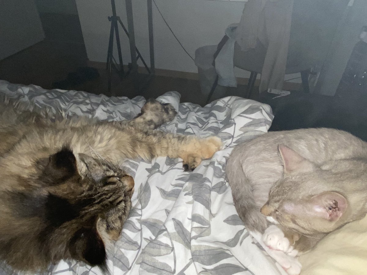 Content from kimberlypeaches