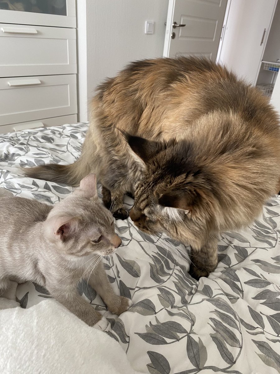 Content from kimberlypeaches