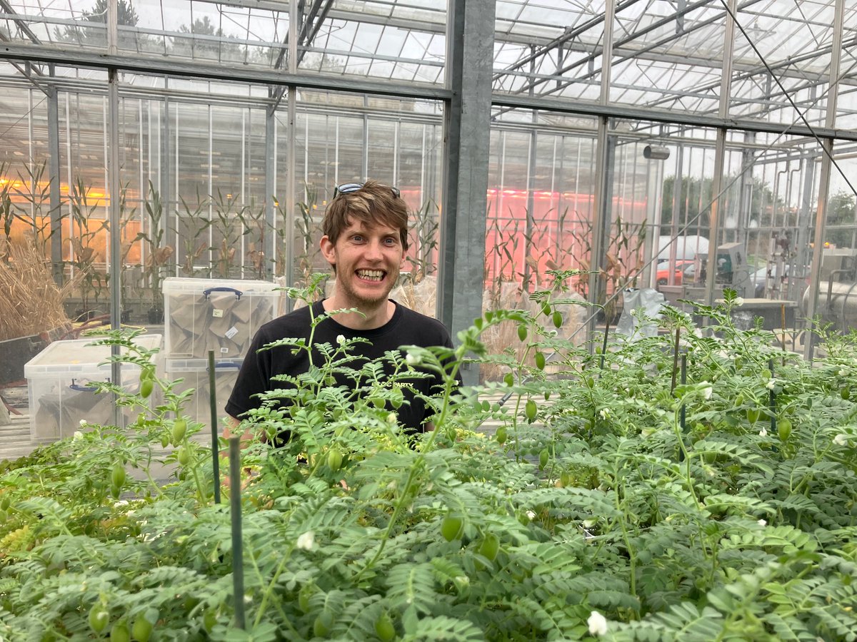 Lovely to be back <a href="/niabgroup/">Niab</a> in Cambridge catching up on all the latest genetics &amp; breeding research in wheat, chickpeas &amp; more 🌱