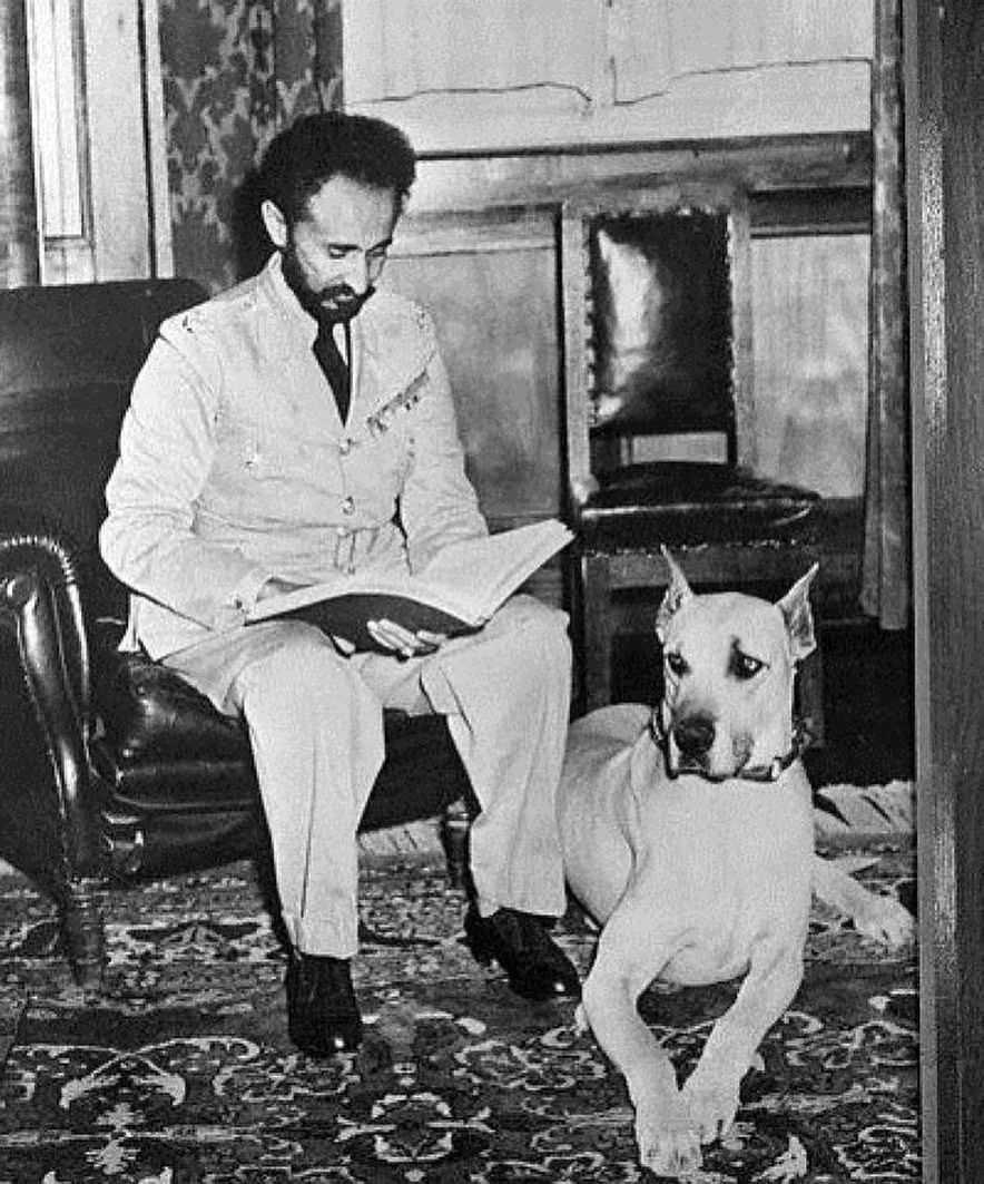 Grand rising massive 🌞 Greetings in the name of H.I.M. #HaileSelassieI 🦁🤴🏾

“Knowledge is power. If it is not applied properly to create, let there be no doubts, it will destroy”

#TeachingsOfHisMajesty #qedamawi #rastafari #jahguide 
#spreadlovelikevirus
#rastafarijams #reggae