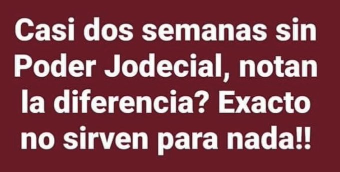 AngelynaRossi's tweet image. POR AHI LO ENCONTRÉ Y TIENE TODA LA RAZÓN!!
#Parasitos
#ReformaPoderJudicialVa