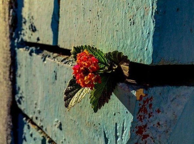 G�ven i�in k���k bir ba�lang�� sermayesi vard�r