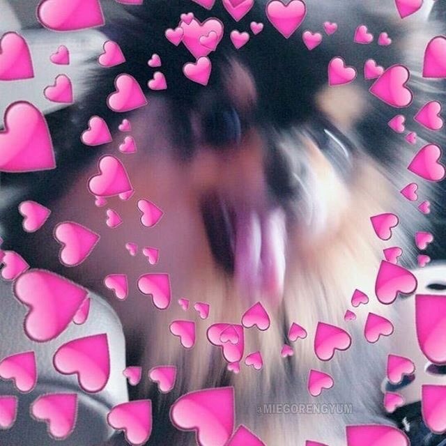 SonicMoviesGal!!💙🩷🖤❤️💛🫶 BIRTHDAY IN 12 DAYS!! tweet media