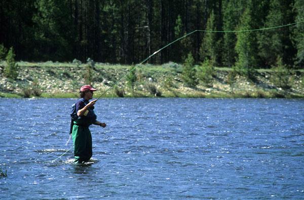 SE_Future's tweet image. Another Attempt To List Montana Grayling Under The Endangered Species Act dlvr.it/TCjwFW