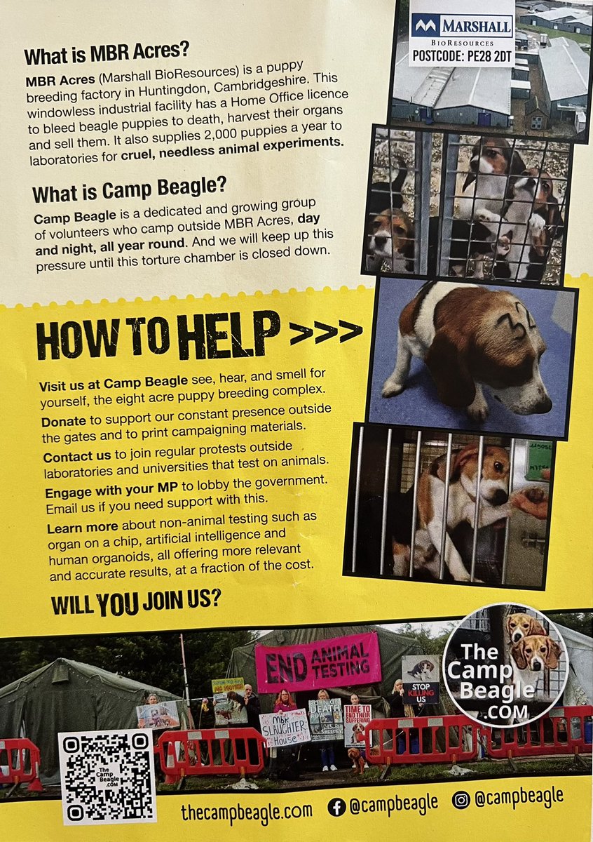 In 2024 , in the UK , we are still breeding dogs for experimentation . No daylight , no walks , just a hellish cage at the ghastly MBR Acres . Please visit thecampbeagle.com and help bring an end to this despicable trade in suffering . . .