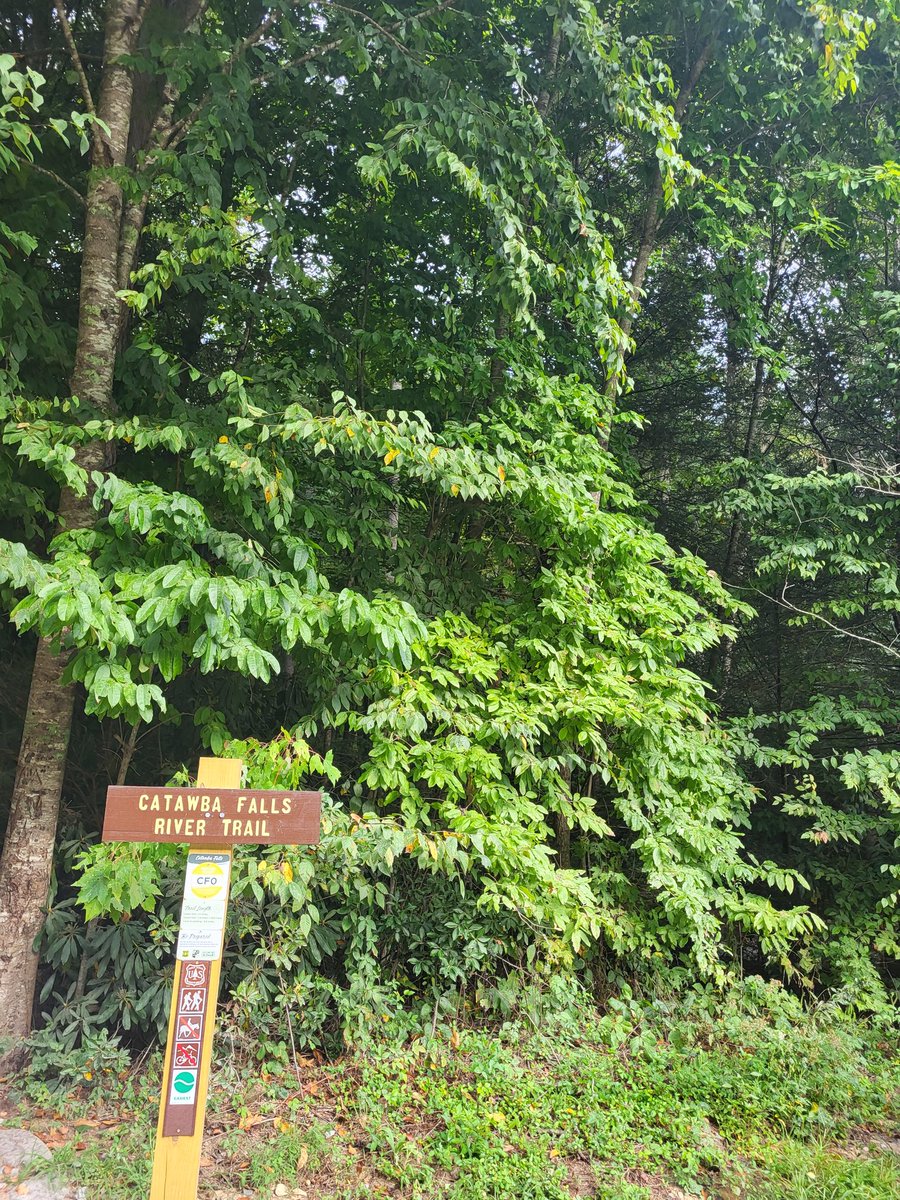 Gabriel Cooper tweet media