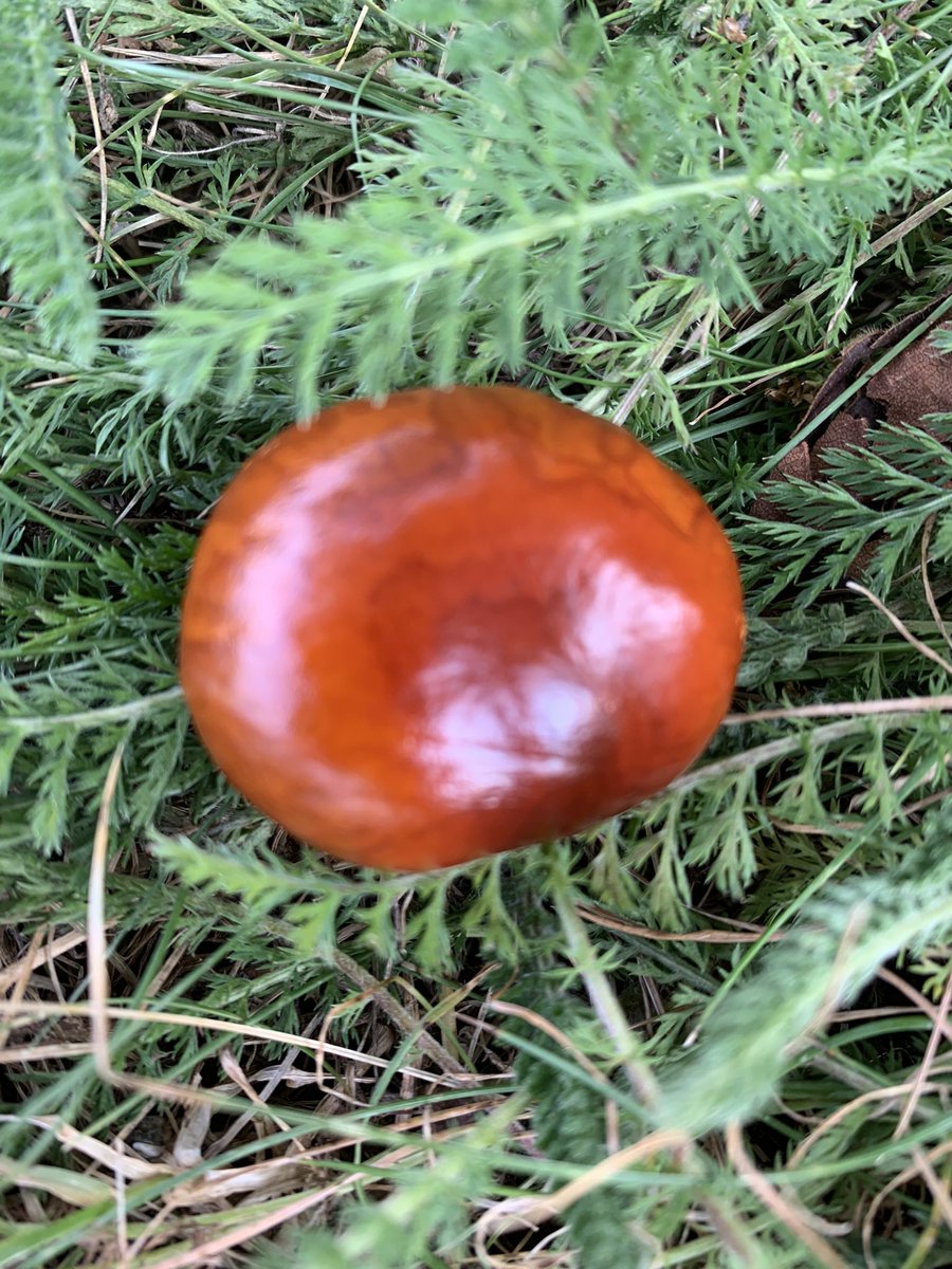LynnParsonsUK's tweet image. Come On In &amp;amp; Feel the Love❤️from 7pm #EveningShow #MellowMagicDigital for Your 🌟Whispers🌟Windows🌟🌟🌟Reasons to be Cheerful &amp;amp; We’ll Talk #Conkers 🌟🌟🌟🌟