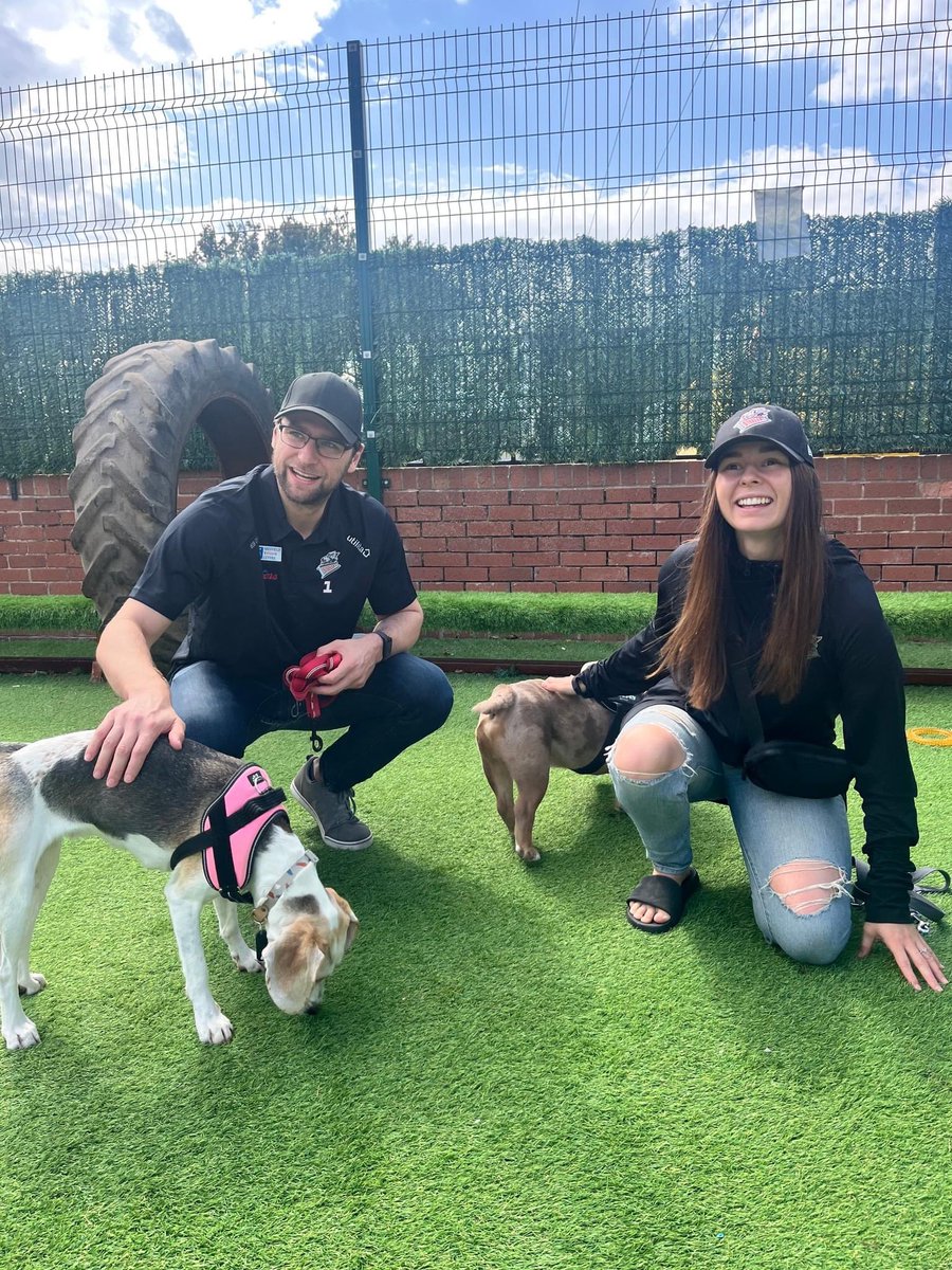 Matt Greenfield tweet media