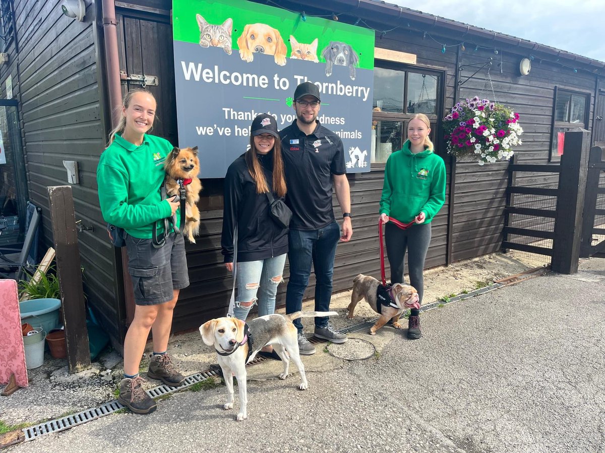 Matt Greenfield tweet media