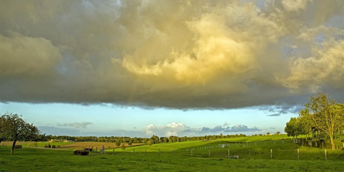 Inspiratie over 'Natuurvoogd - een stem voor de natuur' nodig? Ga de natuur in! Dat is wat PRO Eijsden-Margraten een aantal maanden geleden heeft gedaan. Wij waren met #RechtenvandeNatuur bij deze wandelende bijeenkomst in Eckelrade. Lees meer: pro-eijsdenmargraten.nl/save-the-date-…