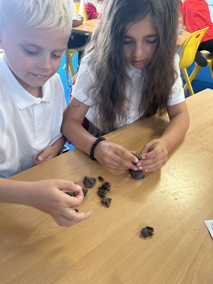 NorthlandsPri's tweet photo. Alder class topic launch…today we investigated Stone Age poo, this allowed us to understand what types of food was eaten in the Stone Age! How exciting!! #stoneage #history #lookingbackintime https://t.co/hX2FZmg8AD