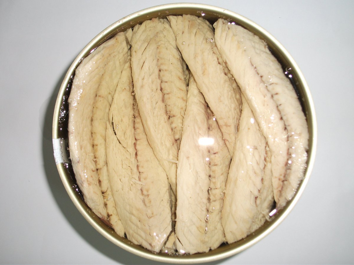 🌊 En #ConserveradeTarifa, cada
etapa de nuestra elaboración respeta la tradición y la
calidad. Nuestras conservas son auténticas,
elaboradas con el máximo cuidado por el Estrecho.
Disfruta de un sabor que preserva nuestra rica
herencia y el equilibrio de nuestros océanos.