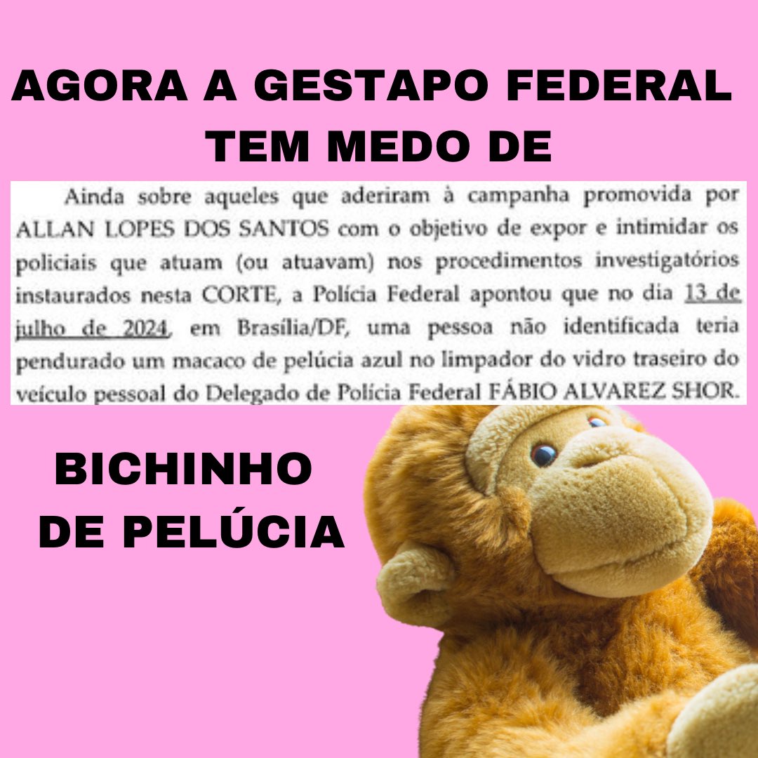 ludmilagrilo's tweet photo. Federal police officer Fábio Schor, @alexandre's henchman, felt intimidated by a stuffed animal that someone placed in his car, and the Brazilian regime considered it an attack on democracy. https://t.co/nxMsiCutC8
