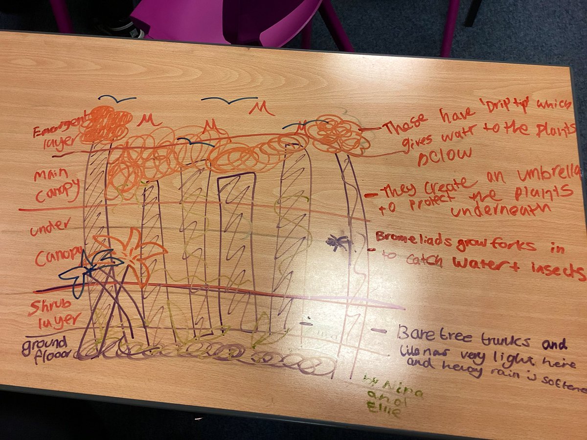 Miss Doran tweet media