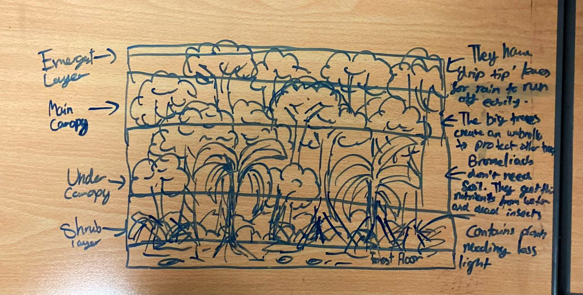 Miss Doran tweet media