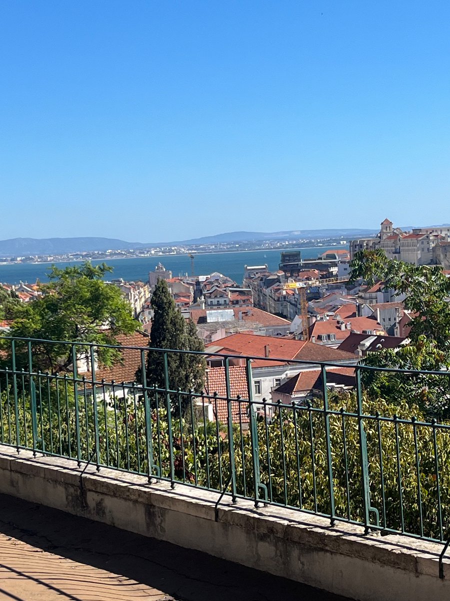 Steffan Segui tweet media