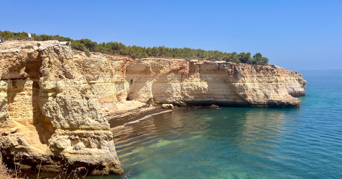 Steffan Segui tweet media