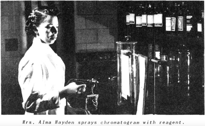 La química Alma Levant Hayden protagonizó un episodio memorable en la lucha contra los pseudorremedios que prometían curar el cáncer.

i.mtr.cool/nxubmodqag