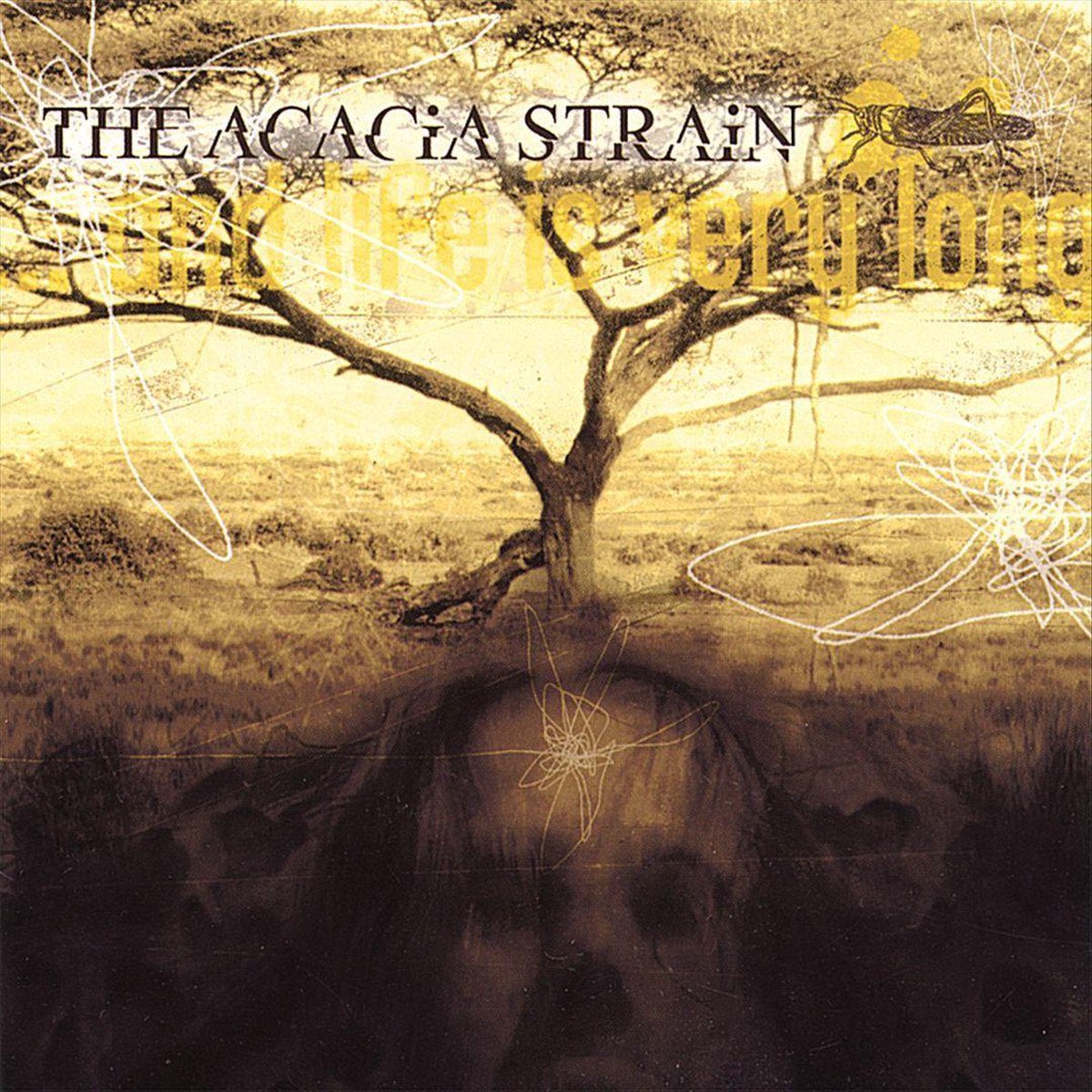 ThisDayInMETAL's tweet photo. Sept 2nd 2002 The Acacia Strain released their debut album “...And Life Is Very Long” #KillingOnEmpty #TheWidowmaker #Deathcore
Did you know…
The band that was founded in 2001 and originally based in Chicopee, Massachusetts. https://t.co/2mwW84koAD