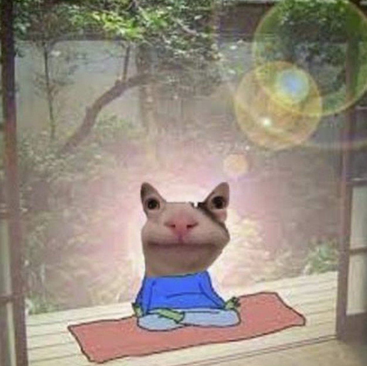 Take $KET and Meditate, everything will be alright.. 

Soooooon, Sooooooooooon! 💉