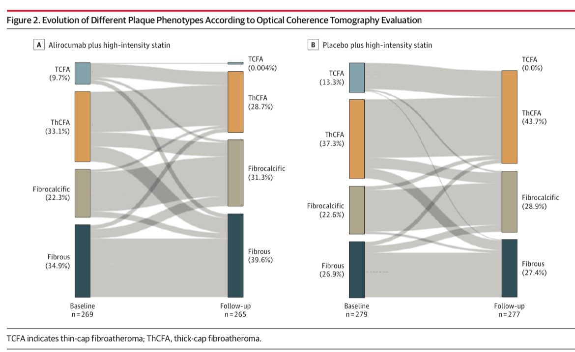 Raffaele Piccolo tweet media