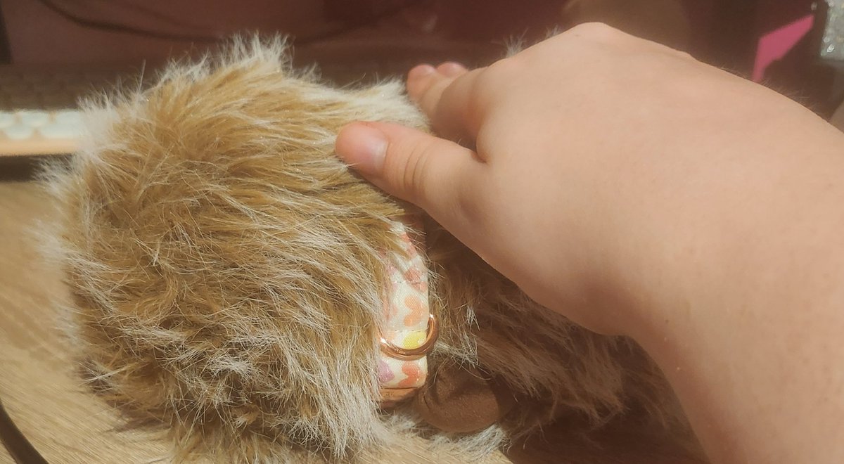 juleswayoflife1's tweet image. Schönen Abend euch, von nur und Cupboo dem Strubel 🤗🍀 #cupboo #robotfriendly #robotnative