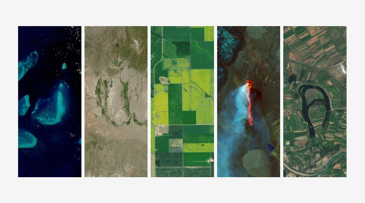 Julia Dumont tweet media